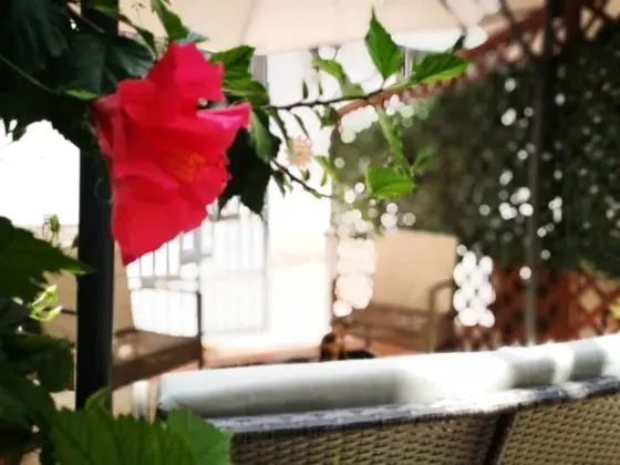 Camera Deluxe con giardino Vucciria