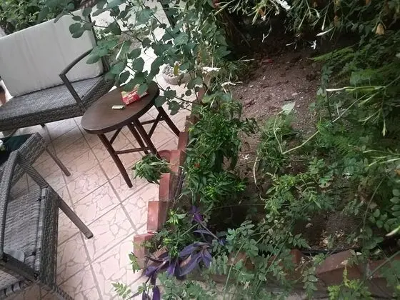 Camera Deluxe con giardino Vucciria