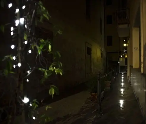 Oda, 1 Yatak Odası, Balkon