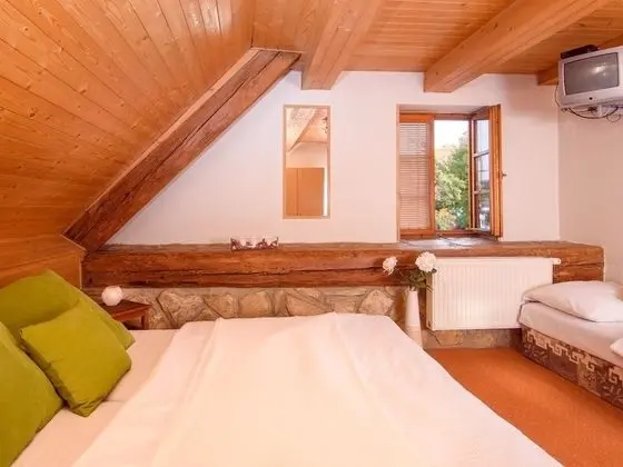 Tek Büyük veya İki Ayrı Yataklı Oda