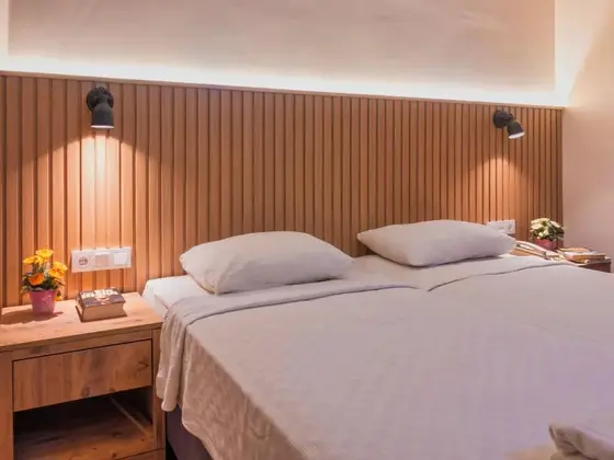 Dağ Manzaralı Standard Double/twin Room