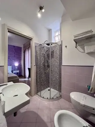 Superior Tek Büyük Yataklı Oda, Teras (Amethyst)