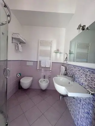 Superior Tek Büyük Yataklı Oda, Teras (Amethyst)