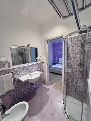 Superior Tek Büyük Yataklı Oda, Teras (Amethyst)