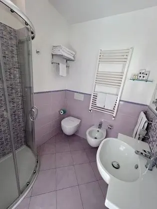 Superior Tek Büyük Yataklı Oda, Teras (Amethyst)