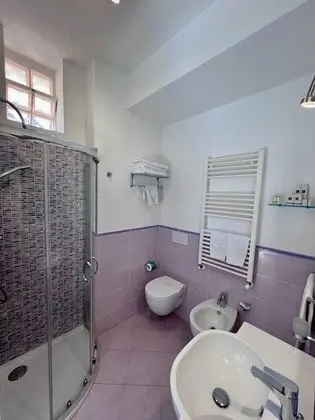 Superior Tek Büyük Yataklı Oda, Teras (Amethyst)