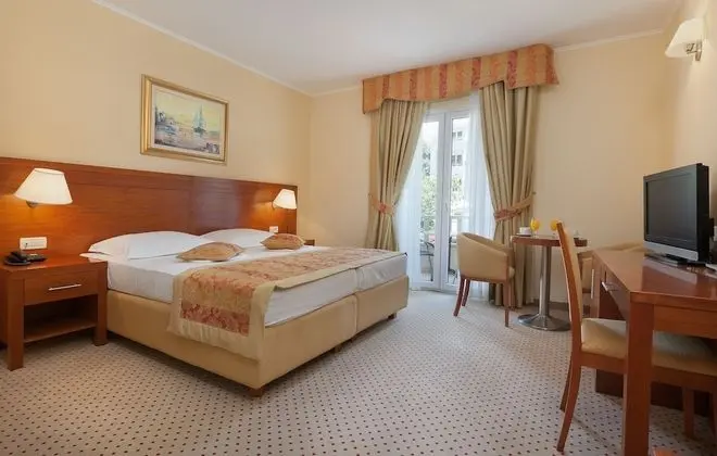 Tek Büyük Yataklı Oda, Balkon, Park Manzaralı