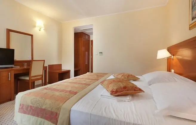 Tek Büyük Yataklı Oda, Balkon, Park Manzaralı