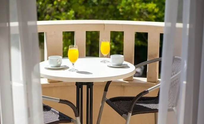 Tek Büyük Yataklı Oda, Balkon, Park Manzaralı