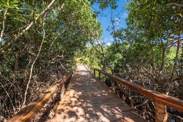 BARRACUDA HOUSE Cabin, 1 Bedroom, Resort View