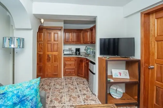 Sea Turtle, 1 Bedroom, Sea View, Poolside