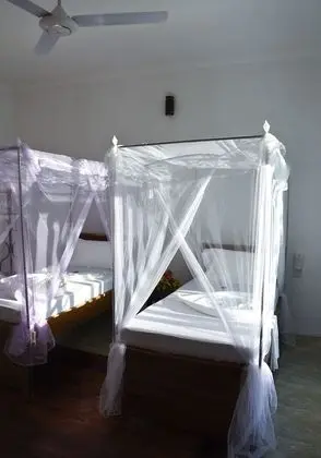 Premium İki Ayrı Yataklı Oda (Room Changu)