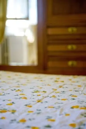 Comfort Tek Büyük Yataklı Oda, Banyolu/Duşlu