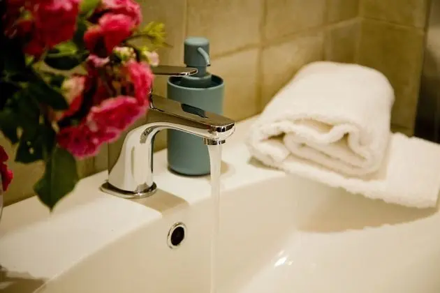 Superior Tek Büyük Yataklı Oda, Banyolu/Duşlu, Ek Bina