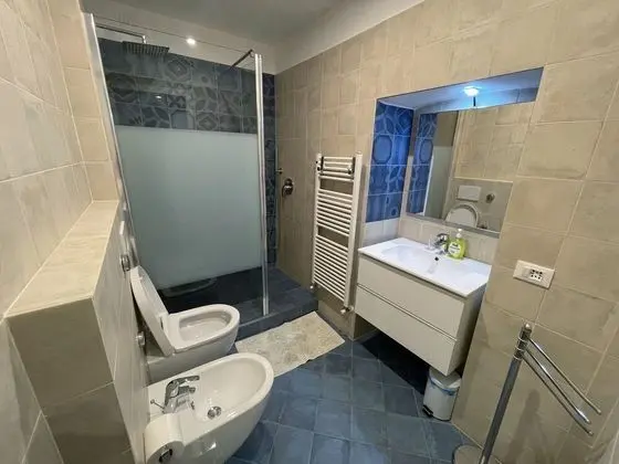 Standard Tek Büyük Yataklı Oda, Göl Manzaralı (Giotto)