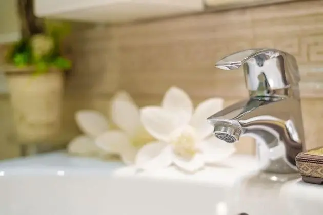 Luxury Süit, 1 Yatak Odası