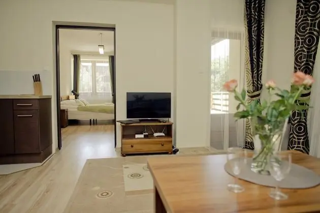 1 Odalı Apart Daire