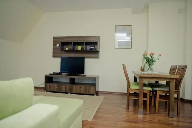 1 Odalı Apart Daire