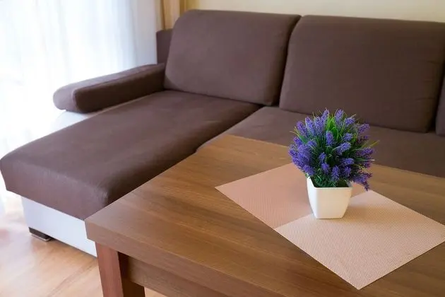 1 Odalı Apart Daire