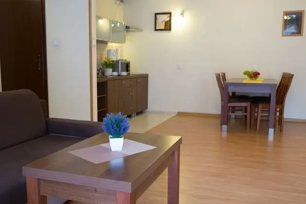 1 Odalı Apart Daire