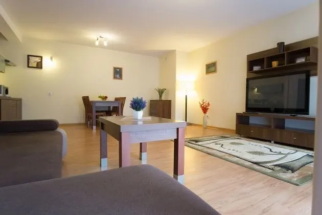 1 Odalı Apart Daire