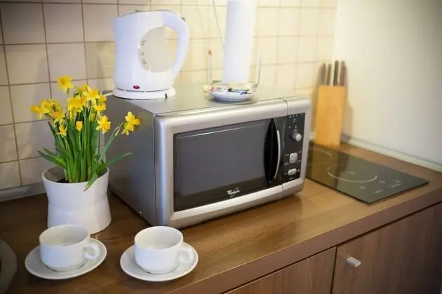 1 Odalı Apart Daire