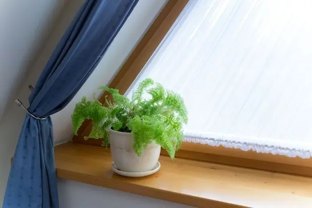 Apart Daire, Birden Çok Yatak