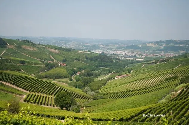 Deluxe Stüdyo Süit