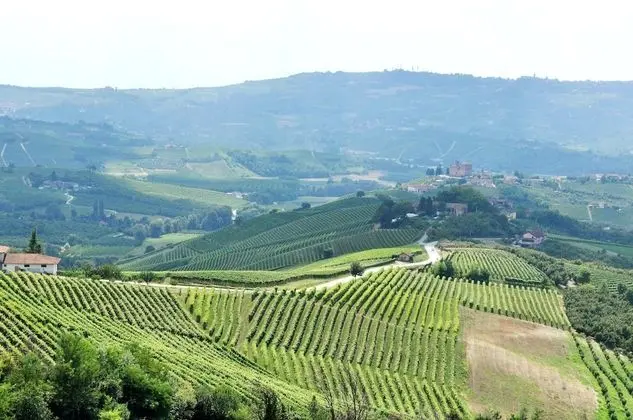 Deluxe Tek Büyük Yataklı Oda, 1 En Büyük (King) Boy Yatak, Bahçe Manzaralı (Queen)