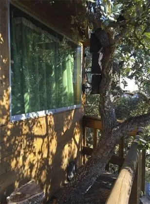 Romantic Ağaç Ev, 1 Yatak Odası, Özel Banyo, Denize Bakan (in a Tree)
