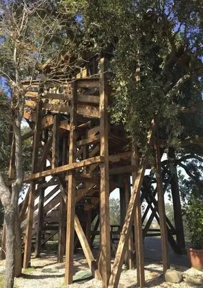 Romantic Ağaç Ev, 1 Yatak Odası, Özel Banyo, Denize Bakan (in a Tree)