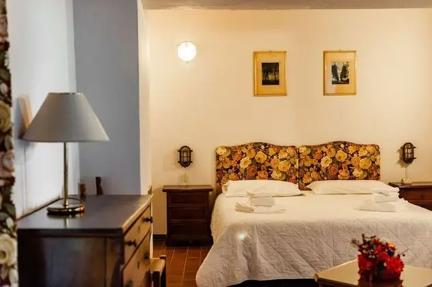 Panoramic Tek Büyük veya İki Ayrı Yataklı Oda, Üzüm Asması Manzaralı