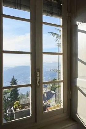 Standard Tek Büyük Yataklı Oda, Balkon, Göl Manzaralı