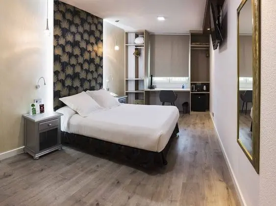 Superior Tek Büyük Yataklı Oda