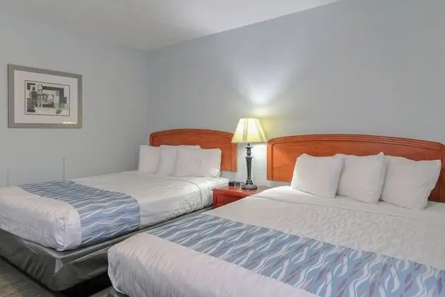 2 Queen Room