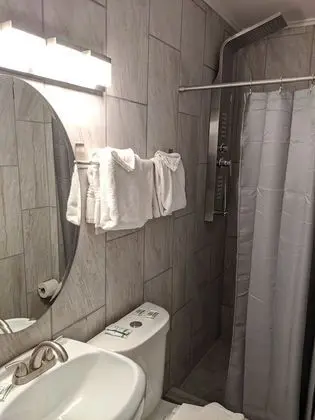 Deluxe Oda, 1 Büyük (Queen) Boy Yatak, Sigara İçilmez