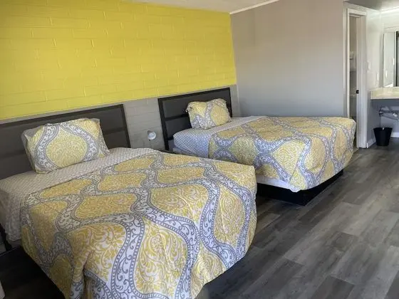 Deluxe Oda, 2 Çift Kişilik Yatak, Sigara İçilmez, Buzdolabı ve Mikrodalga