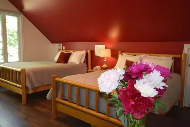 Deluxe Stüdyo Süit