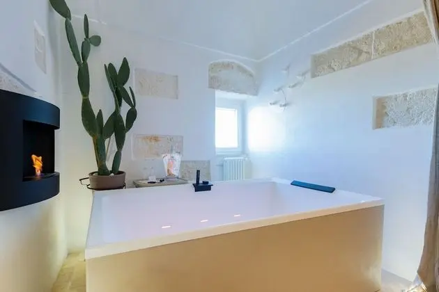 Ev, 1 Yatak Odası, Şömine