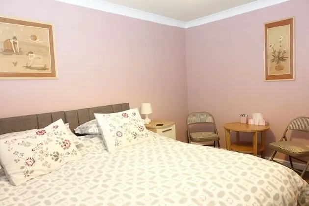 Tek Büyük Yataklı Oda, Banyolu/Duşlu (Room 5)