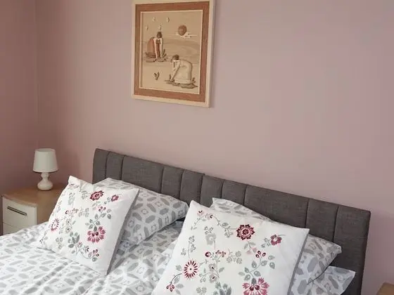 Tek Büyük Yataklı Oda, Banyolu/Duşlu (Room 5)