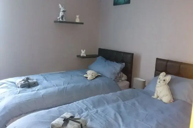 İki Ayrı Yataklı Oda (French bulldog )