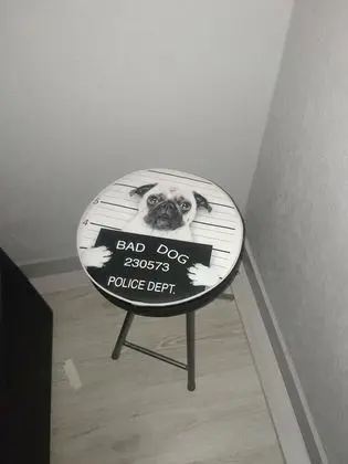 İki Ayrı Yataklı Oda (French bulldog )
