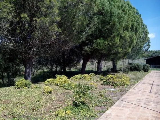 Apart Daire, 1 Yatak Odası, Teras