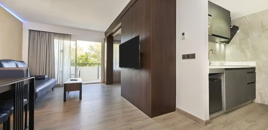 Deluxe Apart Daire, 1 Yatak Odası, Balkon (3 Adults + 1 Child)