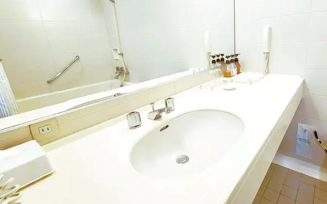Executive Tek Büyük Yataklı Oda, Sigara İçilmez