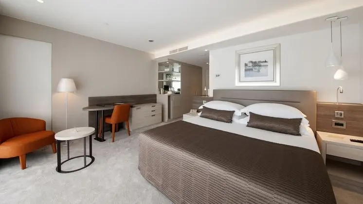 Superior Tek Büyük Yataklı Oda, Balkon, Park Manzaralı