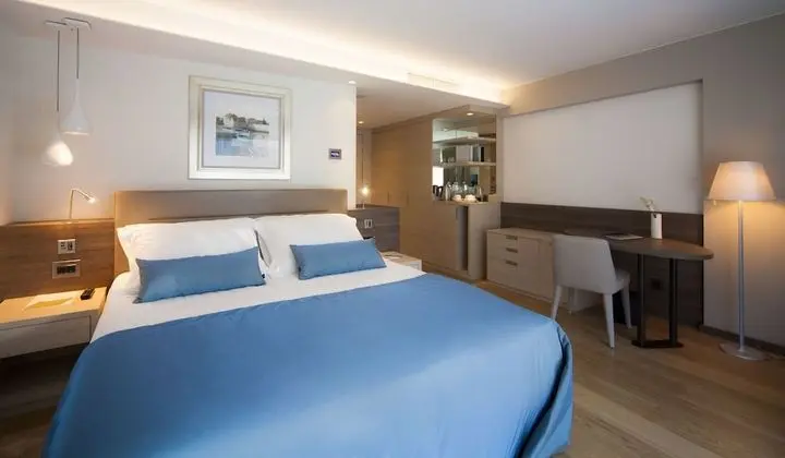 Superior Tek Büyük Yataklı Oda, Balkon, Park Manzaralı