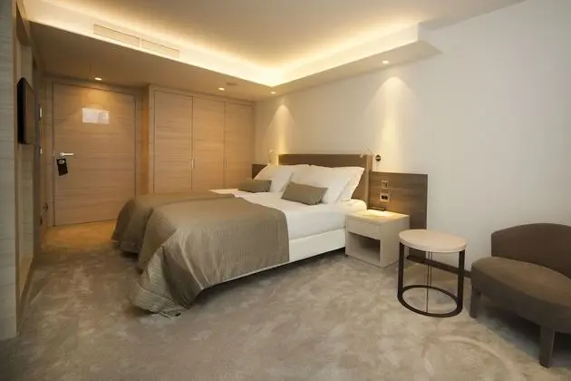Superior Tek Büyük Yataklı Oda, Balkon, Park Manzaralı