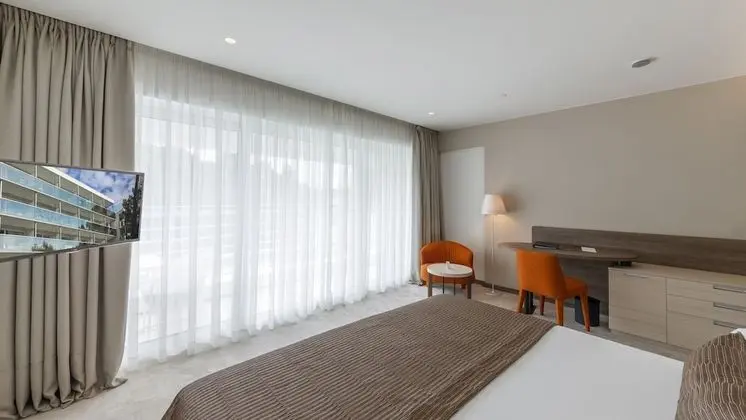 Superior Tek Büyük Yataklı Oda, Balkon, Park Manzaralı